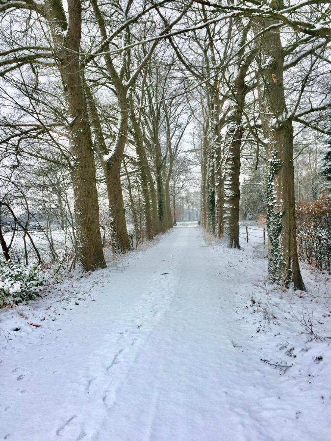 Landgoed Hoeve Honeswei Винтерсвейк Экстерьер фото